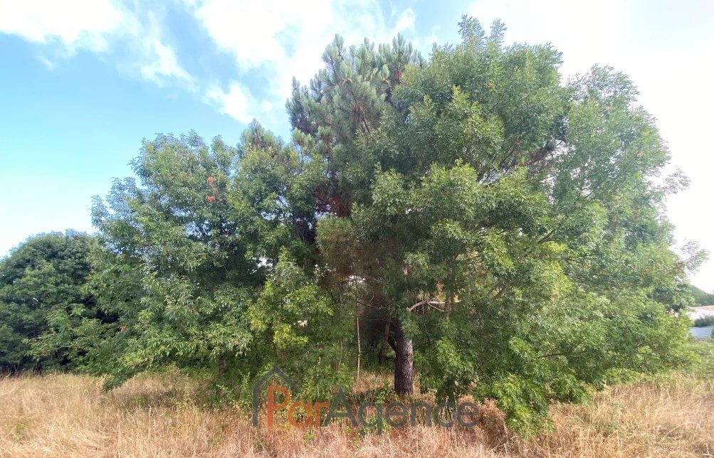 Property view 4