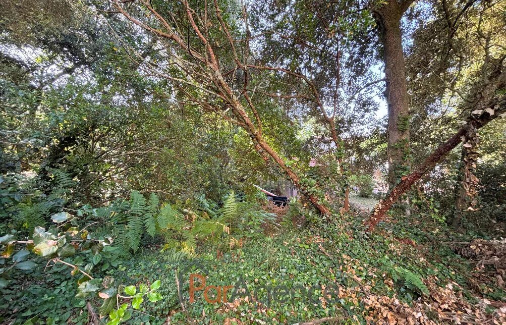 Property view 5