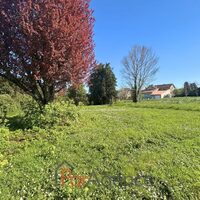 Image du bien en visite référence 56215